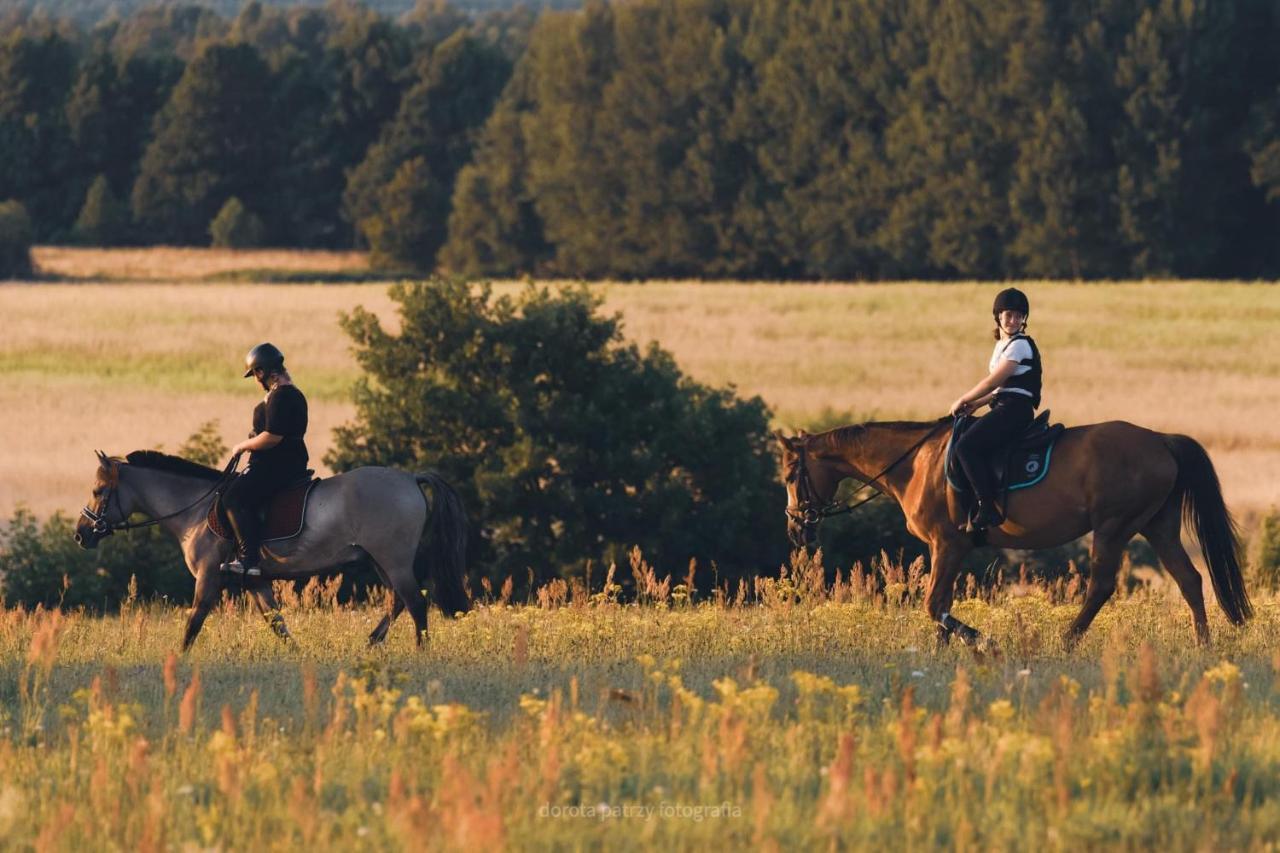 Pod Debami Domki ,Pokoje,Nauka Jazdy Konnej Sarbsk Obok Leby Exteriér fotografie