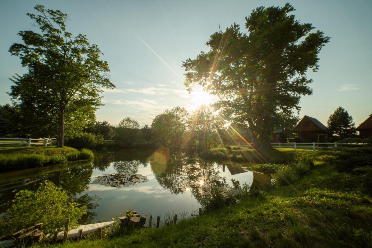 Pod Debami Domki ,Pokoje,Nauka Jazdy Konnej Sarbsk Obok Leby Exteriér fotografie