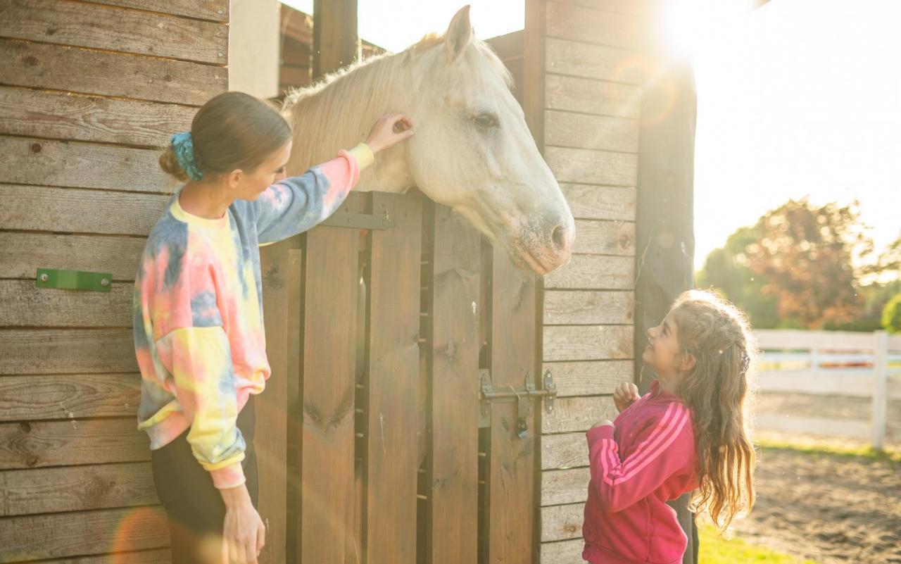 Pod Debami Domki ,Pokoje,Nauka Jazdy Konnej Sarbsk Obok Leby Exteriér fotografie