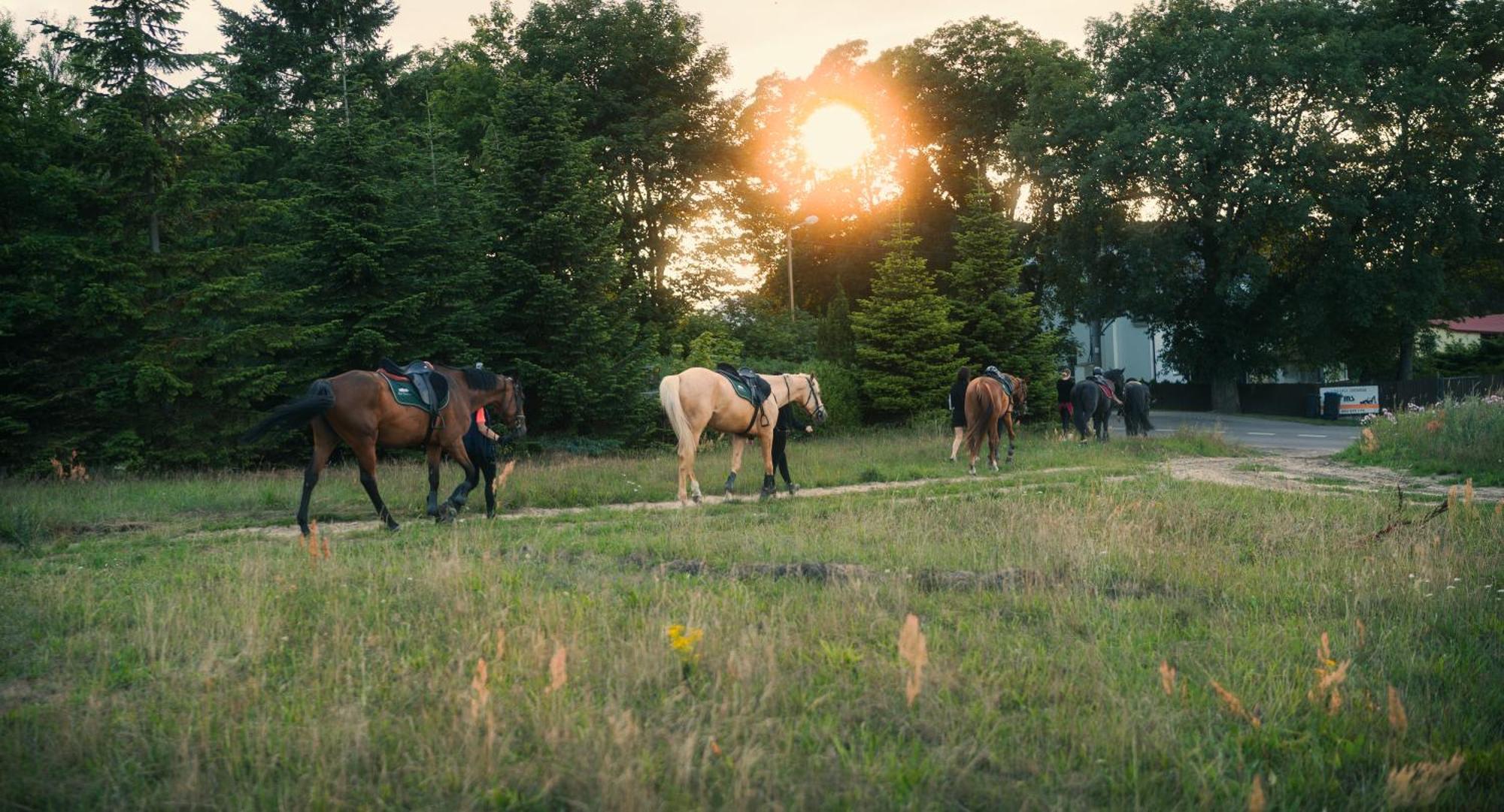 Pod Debami Domki ,Pokoje,Nauka Jazdy Konnej Sarbsk Obok Leby Exteriér fotografie
