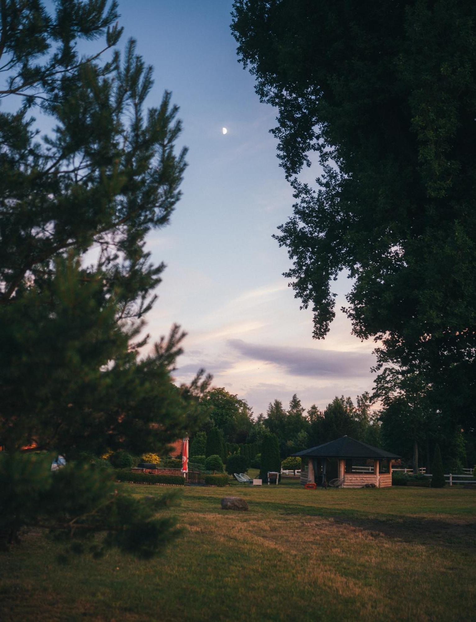 Pod Debami Domki ,Pokoje,Nauka Jazdy Konnej Sarbsk Obok Leby Exteriér fotografie